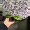 plant/Hoya SP Bur Senubung “Opop” - rooted cutting-3-thumbnail