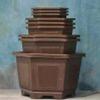 plant/Plastic Bonsai Pots – Hexagon Series – Set of 9 Assorted Pots-0-thumbnail