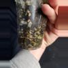 plant/Philodendron Whipple Way-1-thumbnail