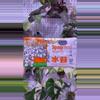 plant/Spagmoss - 150G-0-thumbnail