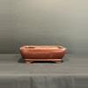 plant/8” Glazed Bonsai Pot - Maroon Rectangle-0-thumbnail