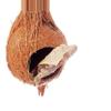 plant/Hanging coconut hide-1-thumbnail
