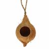 plant/Hanging coconut hide-0-thumbnail