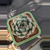 plant/3" square pot geometric-1-thumbnail