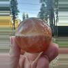 plant/Honey Calcite Sphere-0-thumbnail