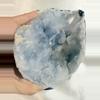 plant/❗️K4.79 Blue Chalcedony(135)-0-thumbnail