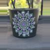 plant/PRE-ORDER 6.7 inch terracotta pot (6.7 x 5.5) black/purple, sage, white-0-thumbnail