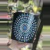 plant/PRE-ORDER 6.7 inch terracotta pot (6.7 x 5.5) black/blue, mint, lavender, aqua-0-thumbnail