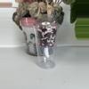 plant/1 prop cup, lid, perlite/stratum included!🪴❗️❕shipping overages refunded❕❗️-0-thumbnail