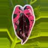plant/MADZ ANTHURIUM STICKER GLITTER-0-thumbnail