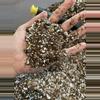 plant/1 Gallon Cactus Soil Mix-0-thumbnail