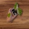 plant/Alocasia Odora Batik-0-thumbnail