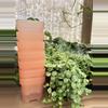 plant/2.5” Pink Mini Nursery Pot-3-thumbnail