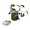 plant/Prop Top - 12 slot propagation topper-0-thumbnail