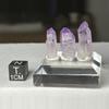 plant/Vera Cruz, Mexico amethyst points-1-thumbnail