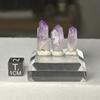 plant/Vera Cruz, Mexico amethyst points-0-thumbnail
