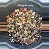 plant/Pachypodium rosulatum Seed x10-1-thumbnail
