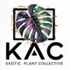 plant/Random-0-thumbnail