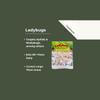 plant/Ladybugs - Aphids-0-thumbnail