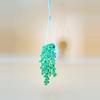 plant/String of Pearl Hanger-0-thumbnail