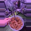 plant/Philodendron firebird cutting-0-thumbnail