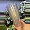 plant/Schlief Tropicals Clear Cups 16 oz - 10 pk-0-thumbnail