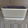 plant/3" x 6" Geometric planter-3-thumbnail