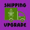 plant/Shipping upgrade-0-thumbnail