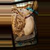 plant/All my jewelry-0-thumbnail