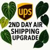 plant/UPS 2nd day air shipping upgrade-0-thumbnail