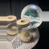 plant/Glass Prop Jars Set of 2-3-thumbnail