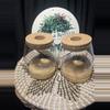 plant/Glass Prop Jars Set of 2-1-thumbnail