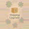 shipping_upgrade/Shipping Upgrade-Priority-0-thumbnail