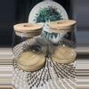 plant/Glass Prop Jars Set of 2-2-thumbnail