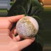 plant/Ocean Jasper Sphere-0-thumbnail