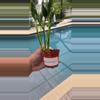 plant/Shangri La Epipremnum Pothos-2-thumbnail