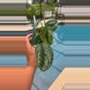 plant/Scindapsus "Silver Satin Pothos"-0-thumbnail