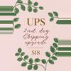 shipping_upgrade/UPS 2nd. Day shipping upgrade-0-thumbnail