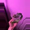 plant/Curly Orchid Cactus-1-thumbnail