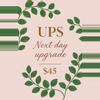shipping_upgrade/UPS Next Day shipping upgrade-0-thumbnail