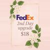 shipping_upgrade/FedEx 2nd day shipping upgrade-0-thumbnail