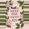 shipping_upgrade/FedEx Next Day Shipping Upgrade-0-thumbnail