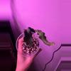 plant/Curly Orchid Cactus-0-thumbnail