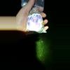 plant/Mystery crystal bag-0-thumbnail