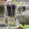 free_shipping/Add on - send my corm in self watering cup-0-thumbnail