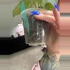 plant/Anthurium Hoffmannii x (Papi x Mag)-4-thumbnail