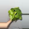 plant/🌿 Lemon-Lime Heartleaf Philodendron – 4” Pot-0-thumbnail