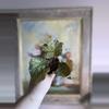 plant/Begonia confetti yeti, 4”-8-thumbnail