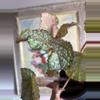 plant/Begonia confetti yeti, 4”-1-thumbnail