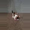 plant/Set of 3 Catnip Knit Cat Toys-0-thumbnail